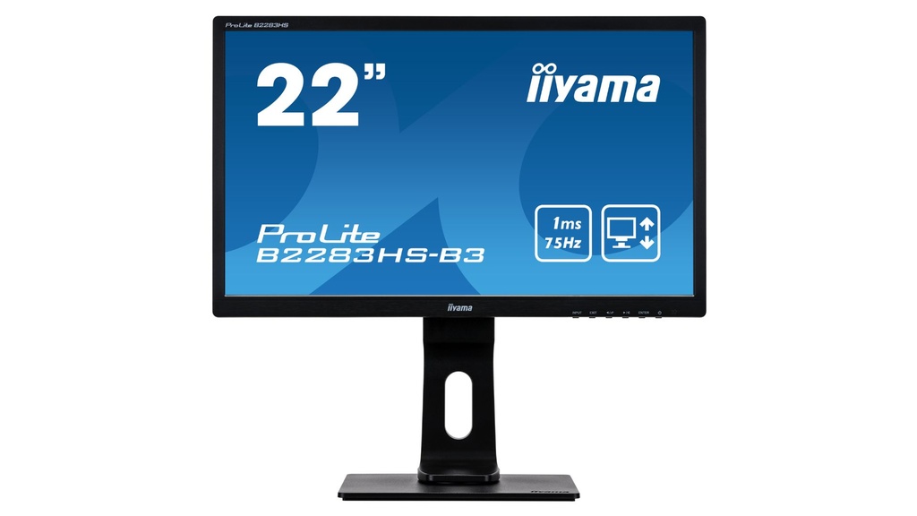 IIYAMA PROLITE B2283HS